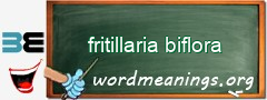 WordMeaning blackboard for fritillaria biflora